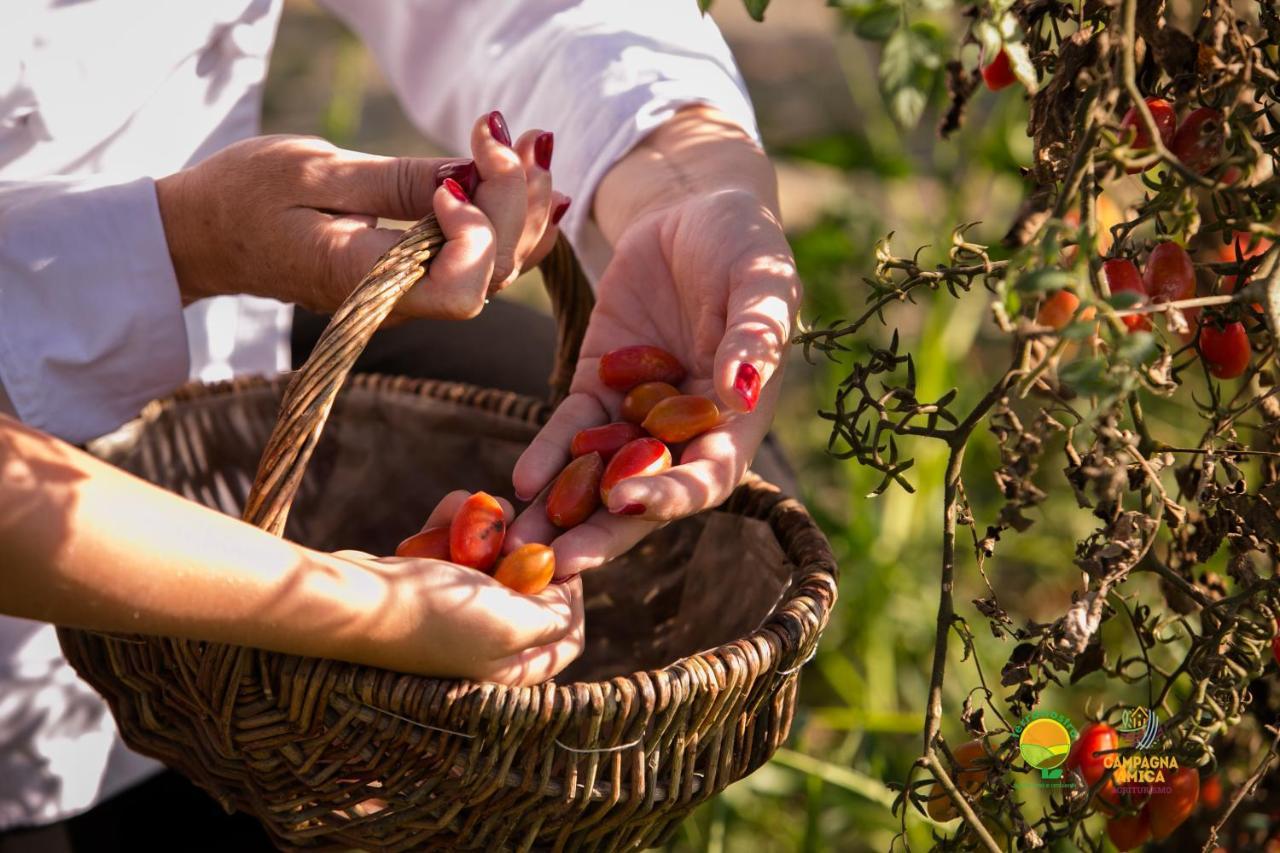 Agriturismo Ai Carpini Βίλα Marcon Εξωτερικό φωτογραφία