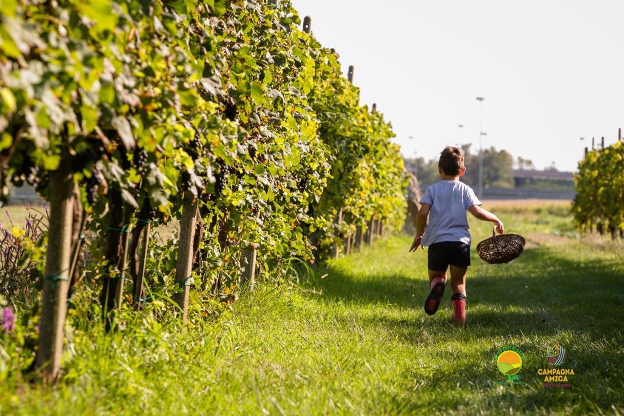 Agriturismo Ai Carpini Βίλα Marcon Εξωτερικό φωτογραφία